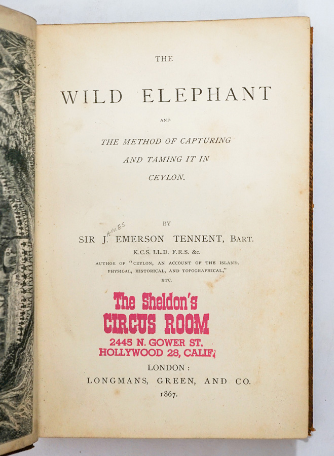 The Wild Elephant 1867