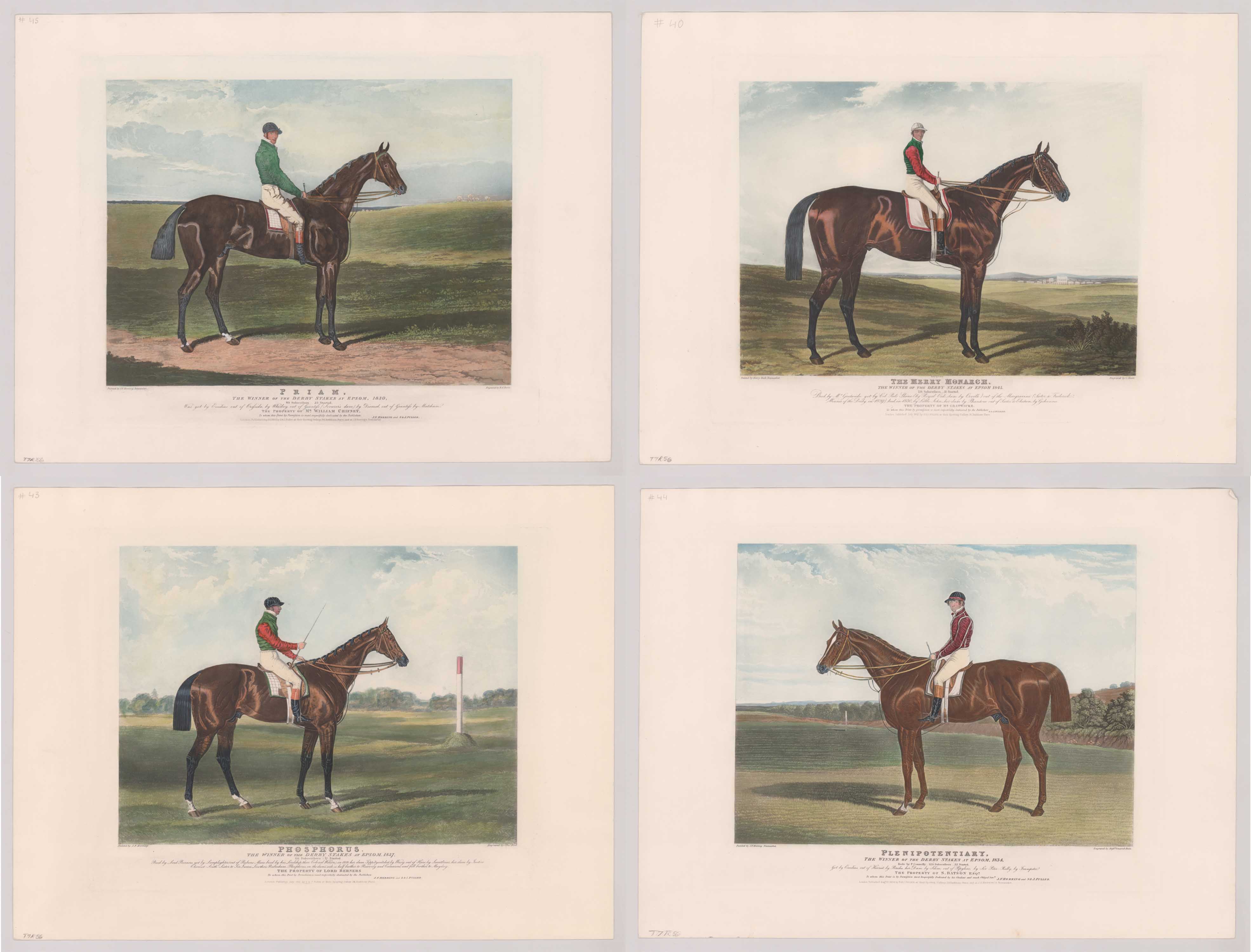 Four Epsom Downs Champion Horse Racing Engravings