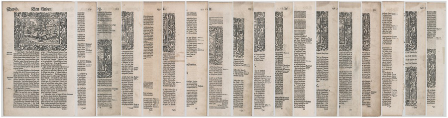 1633 Danish Bible [Nine Leaves]