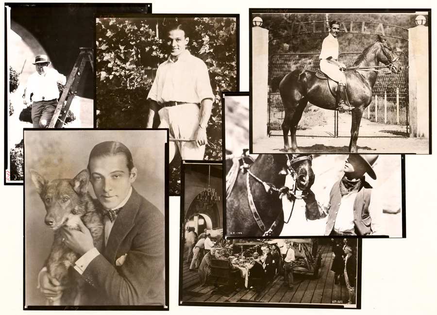 Rudolph Valentino Vintage Albumen (6) Photos