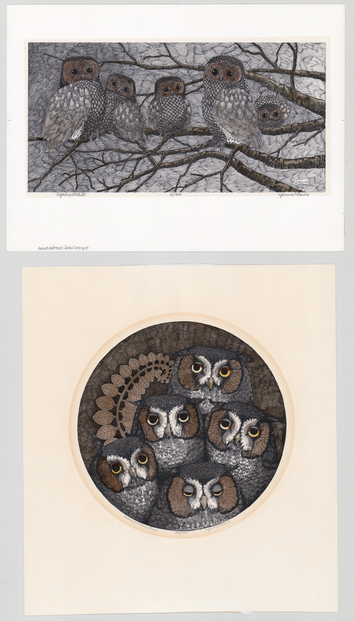 Yvonne Davis Lithographs [Owls]