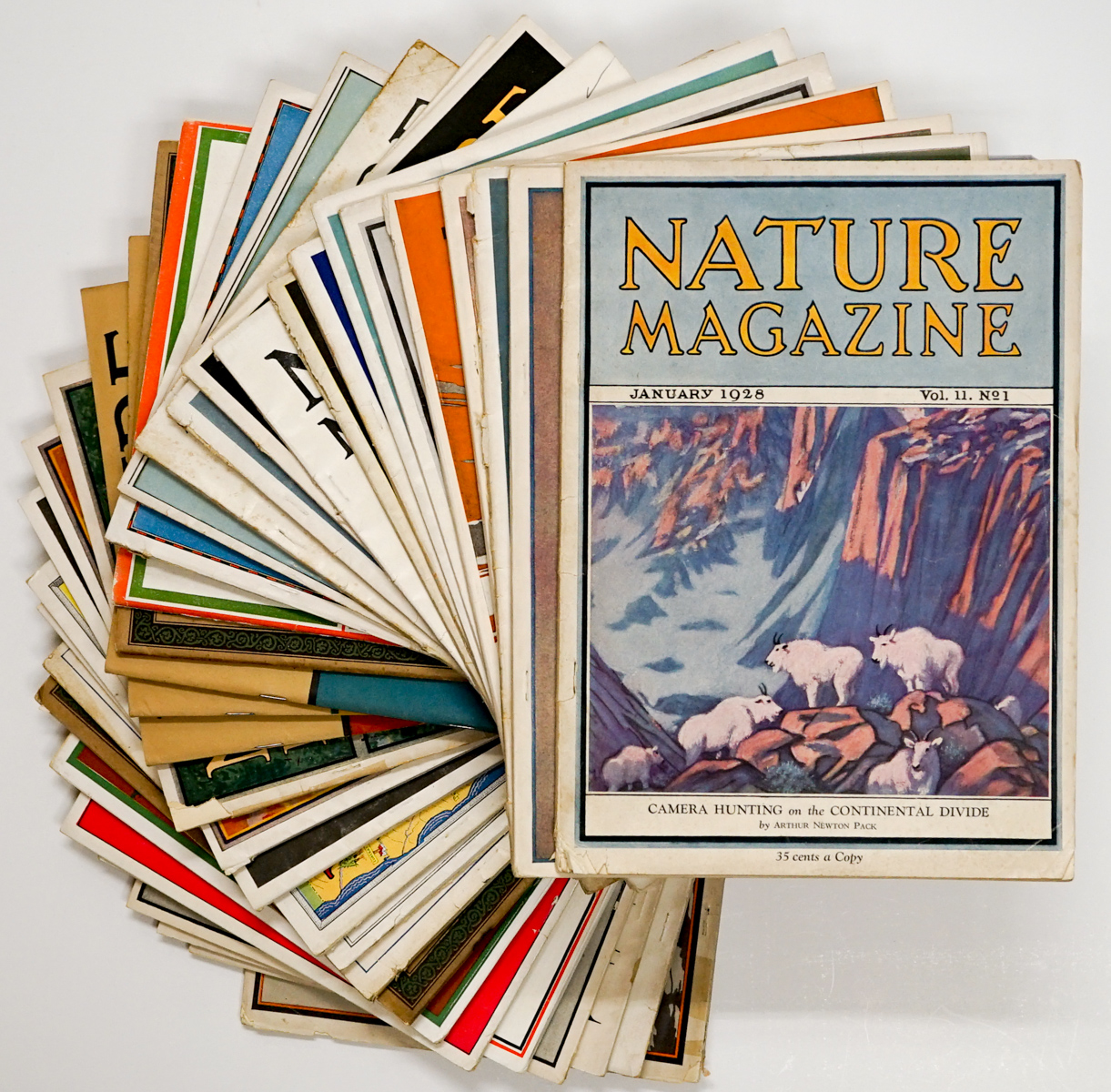 Nature Magazine 1920's Magazines (32)