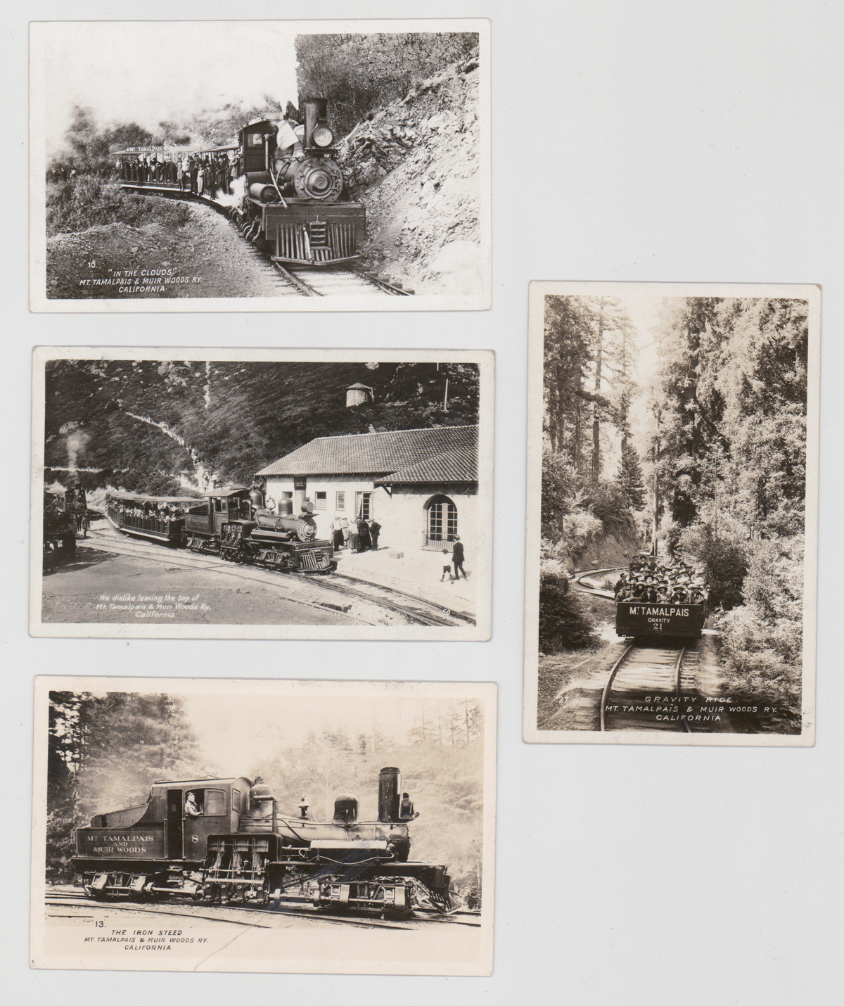 Mt. Tamalpais and Muir Woods Real Photo Postcards