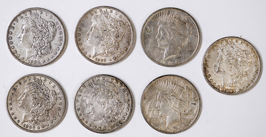 U.S. Morgan Silver Dollars (7)