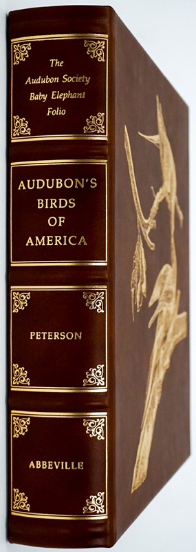 Audubon's Birds of America MIB
